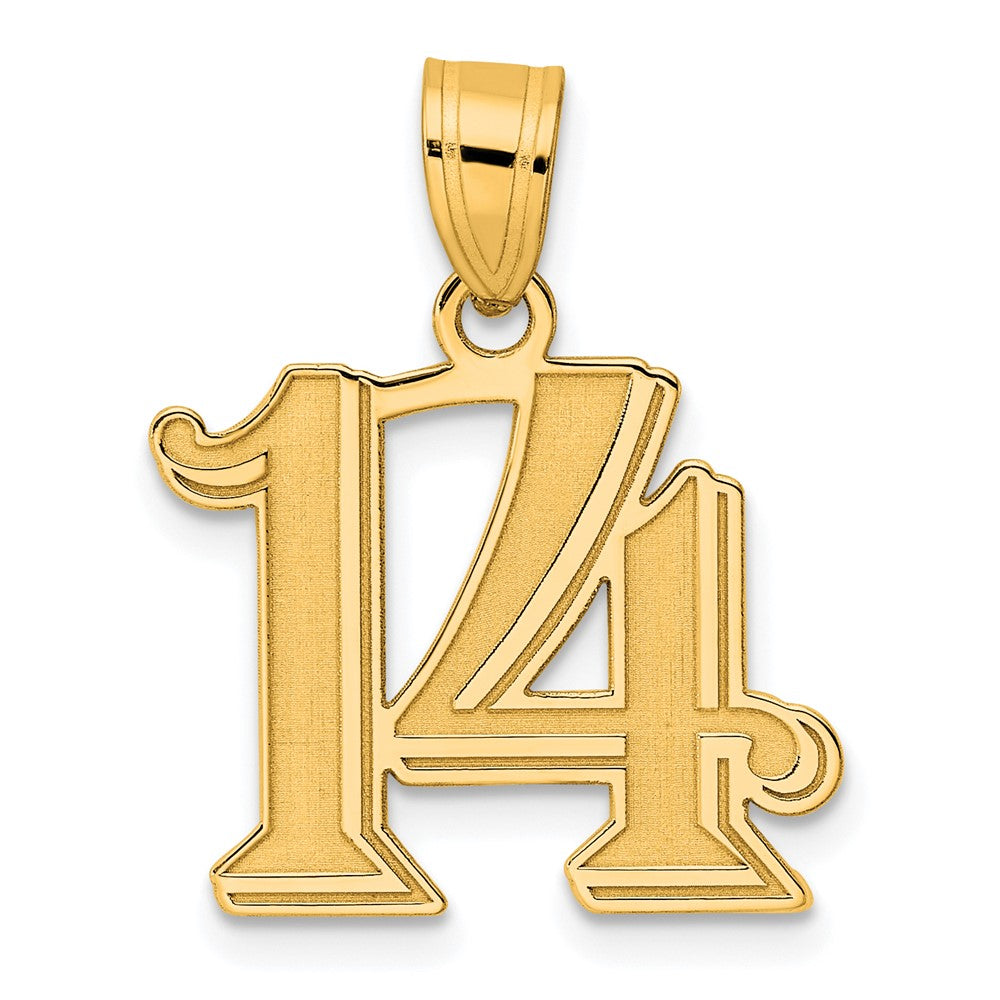 14k Polished Etched Number 14 Pendant