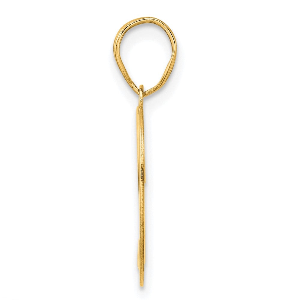 14k Polished Number 29 Pendant