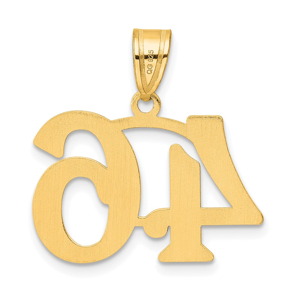 14k Polished Number 46 Pendant