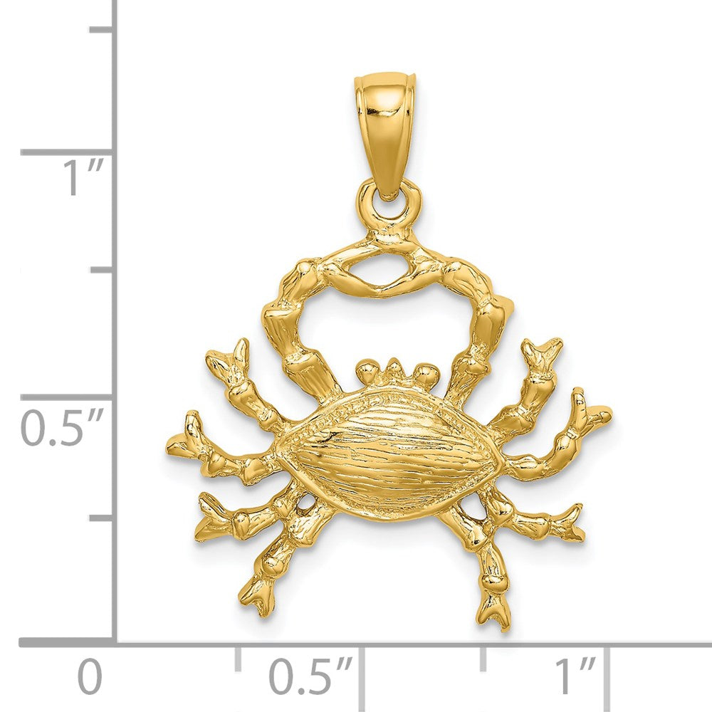 14k Large Cancer Zodiac Charm