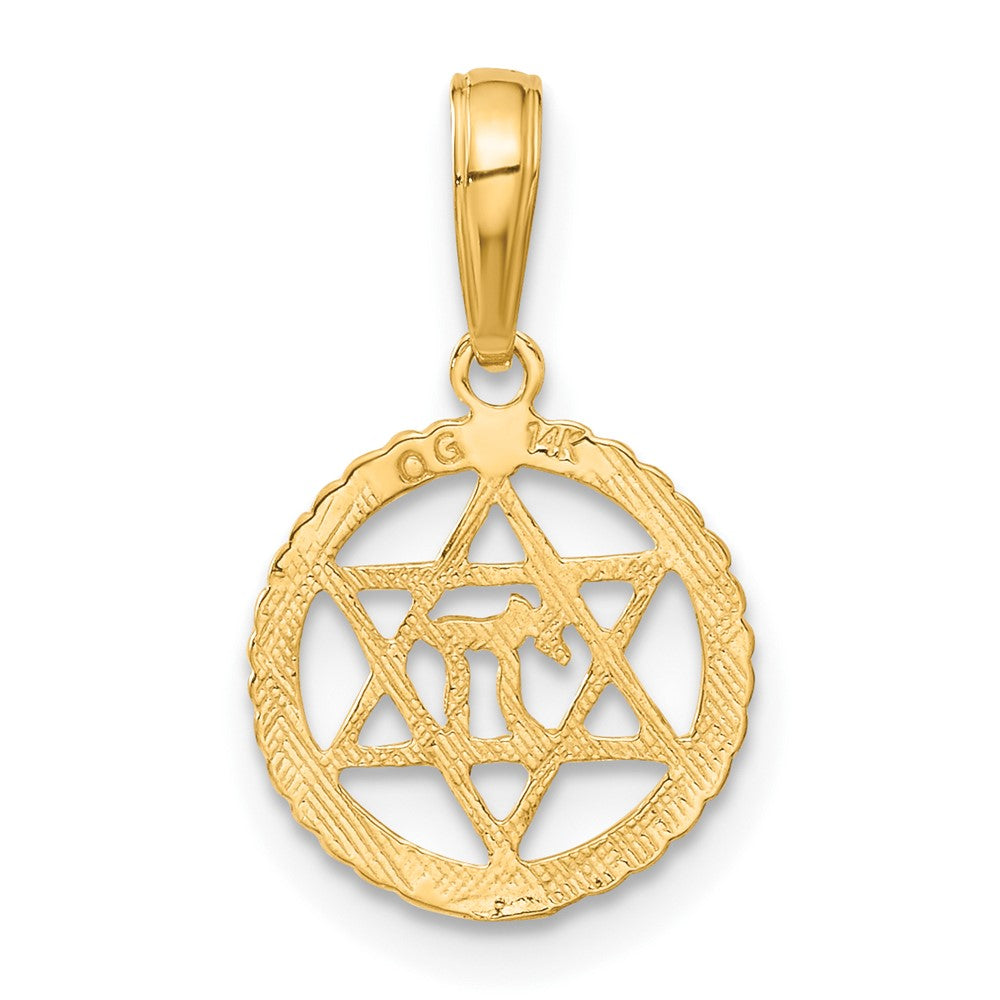 14K Star of David and Chai in Circle Pendant