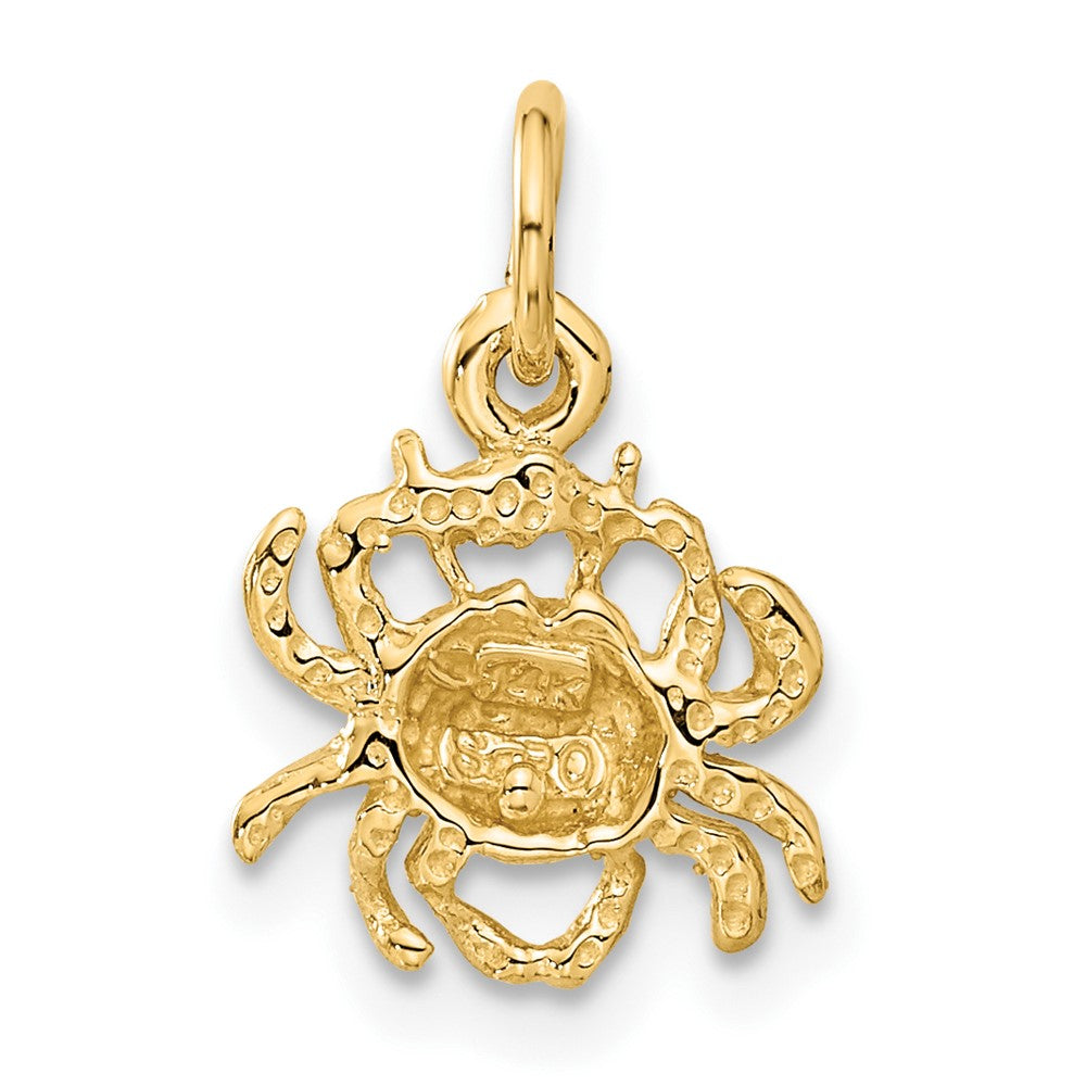 14k Satin Diamond-cut Cancer Zodiac Charm