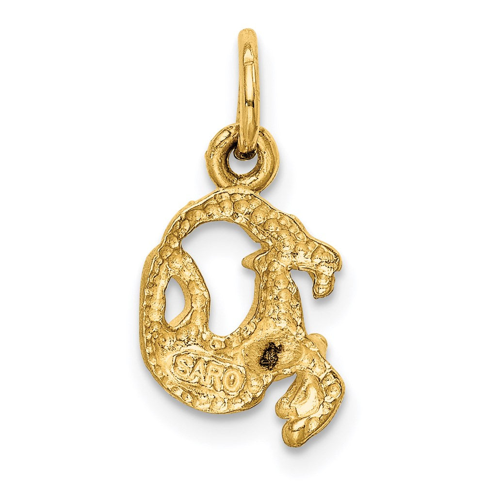 14k Satin Diamond-cut Capricorn Zodiac Charm