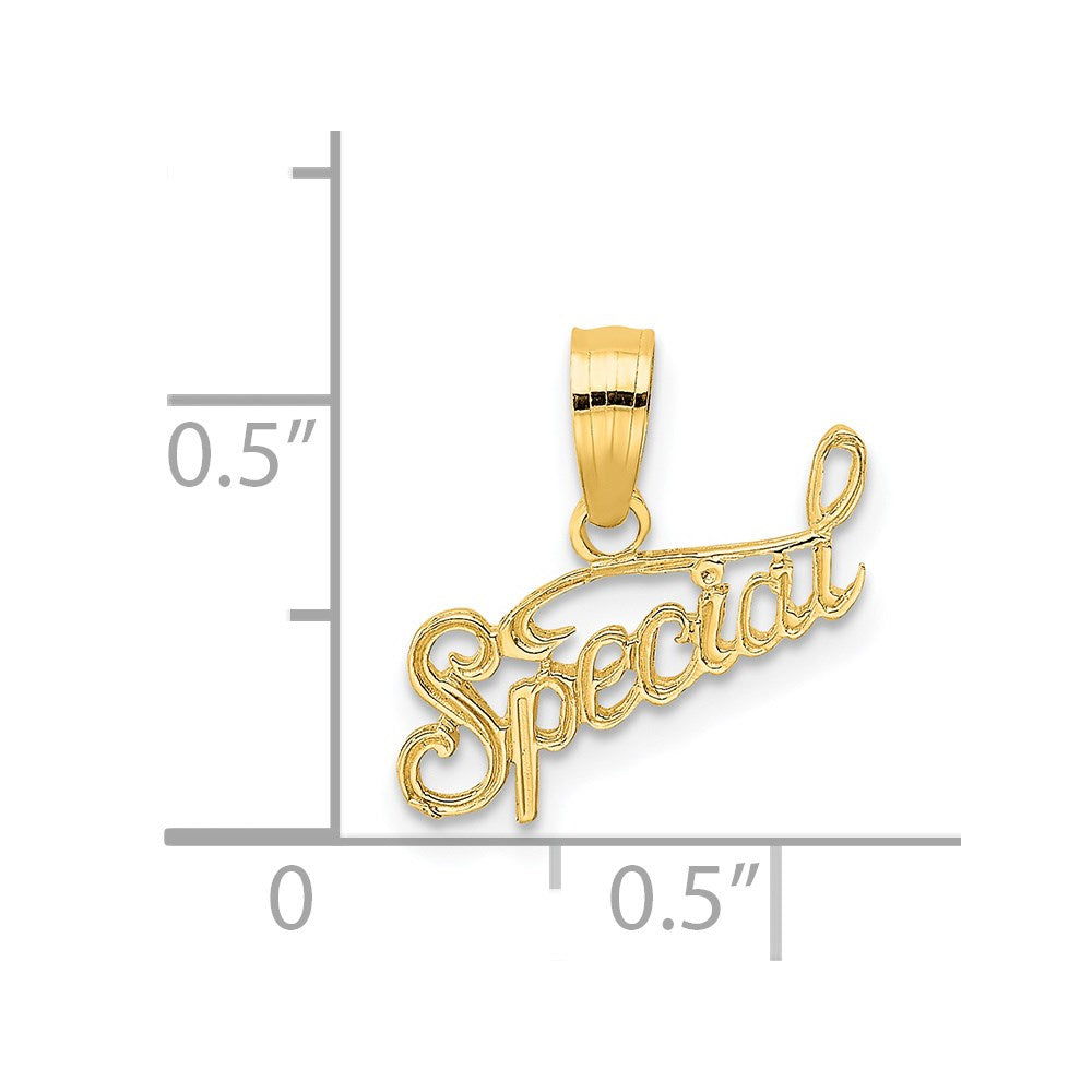 14K Polished and Textured SPECIAL Charm