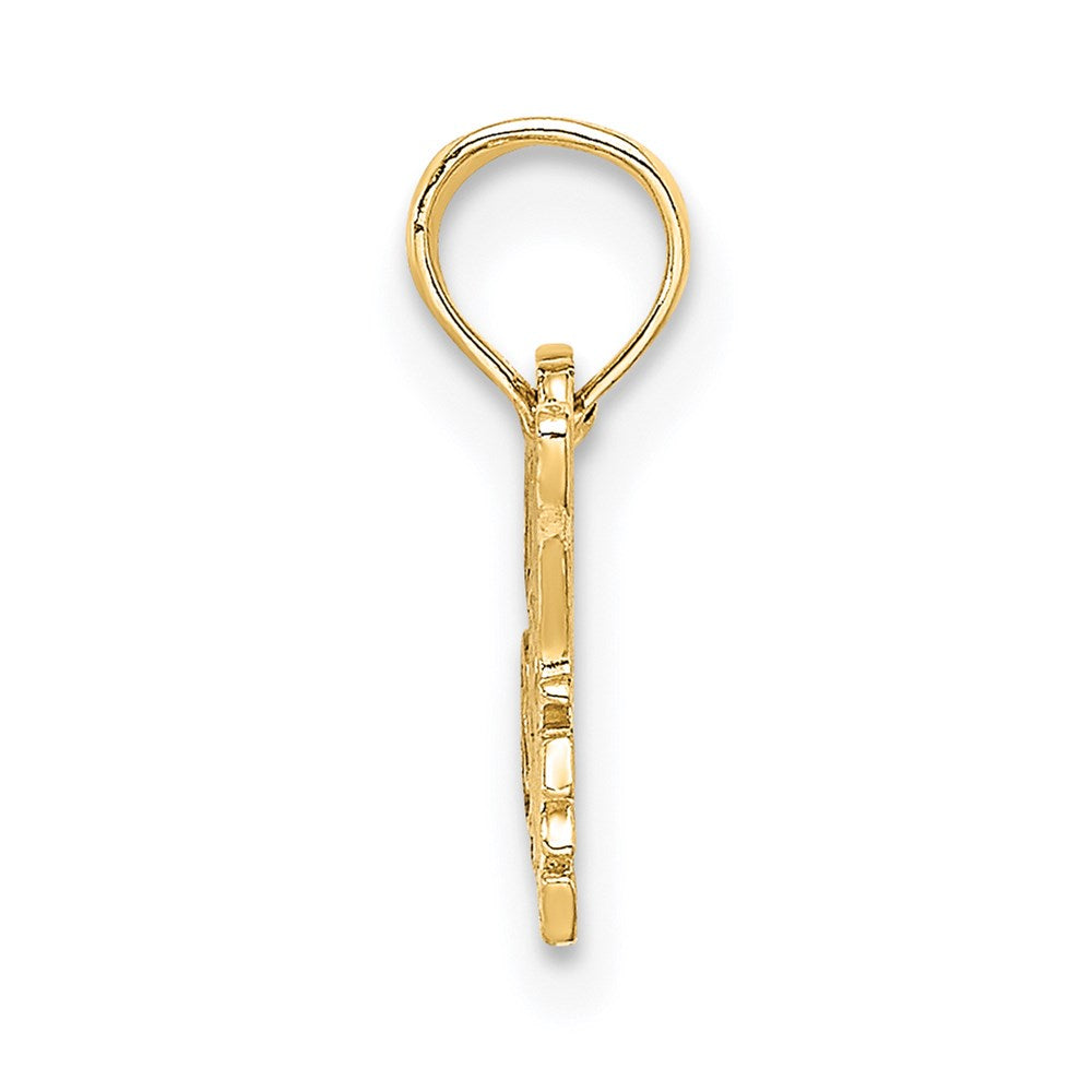 14K SPECIAL NIECE Charm