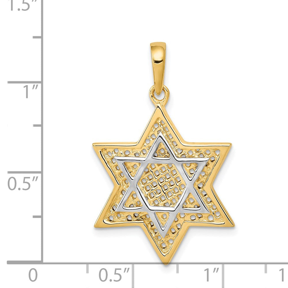 14K w/Rhodium Solid Mesh Star Of David Charm