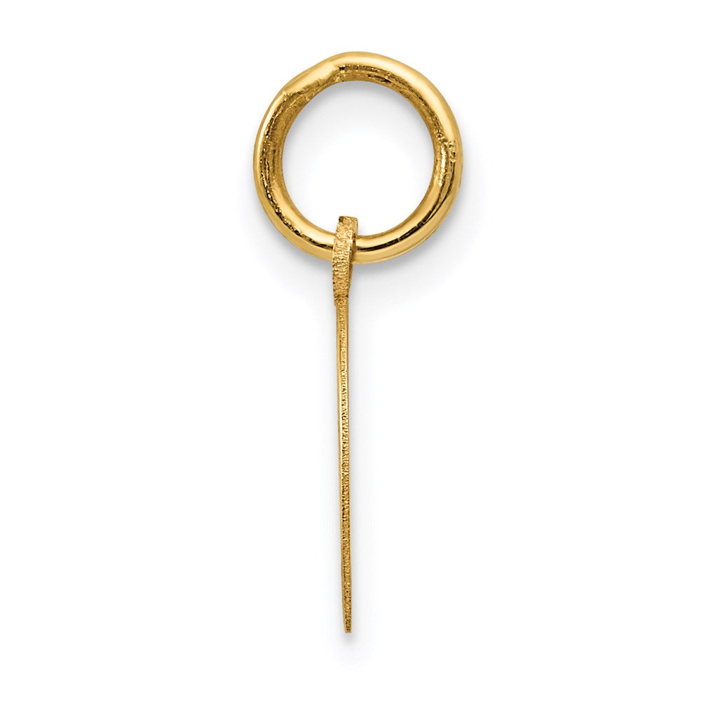 14k Horseshoe Charm