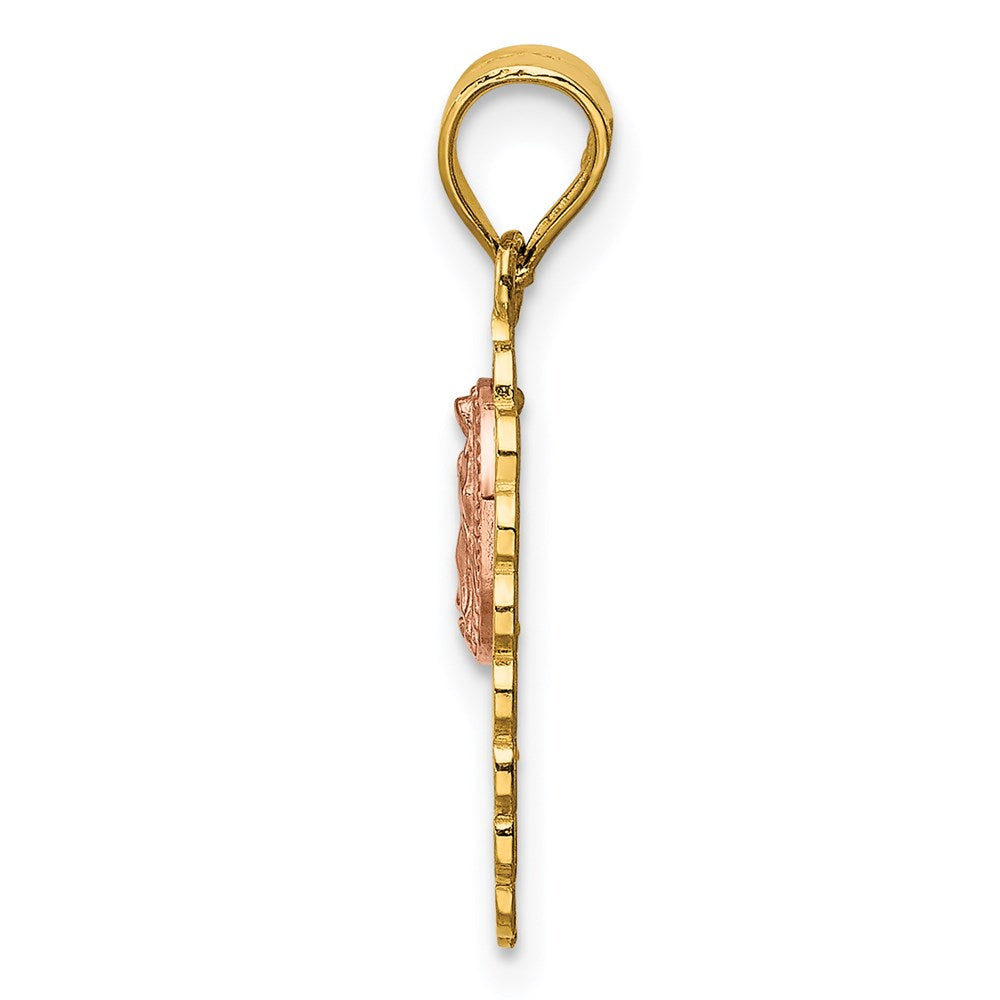 14k Two-tone 15 Guadalupe Pendant
