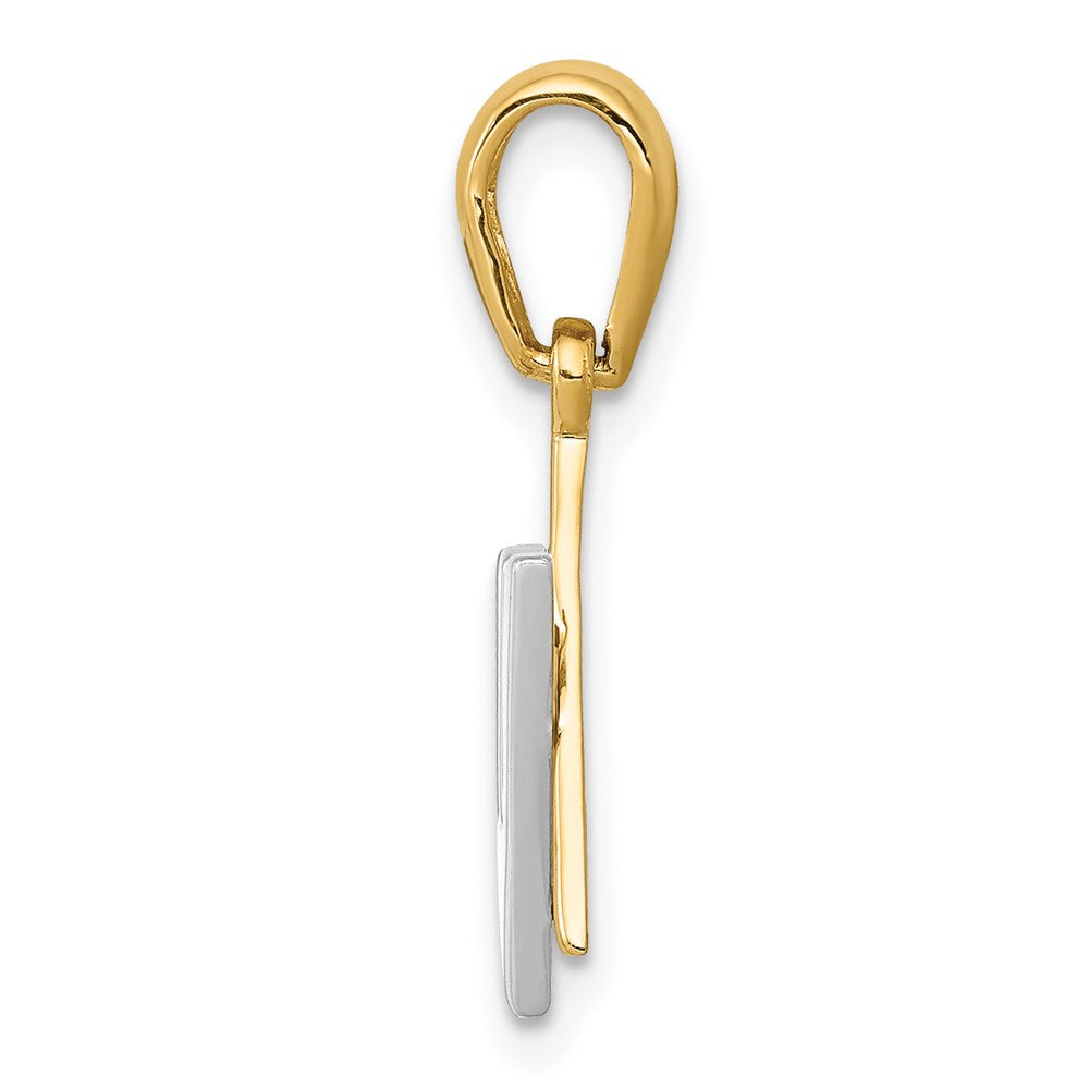 14K Two-tone Star of David w/Shin Charm