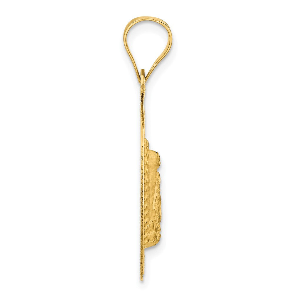 14K Polished D/C Lady Of Guadalupe Circle Pendant