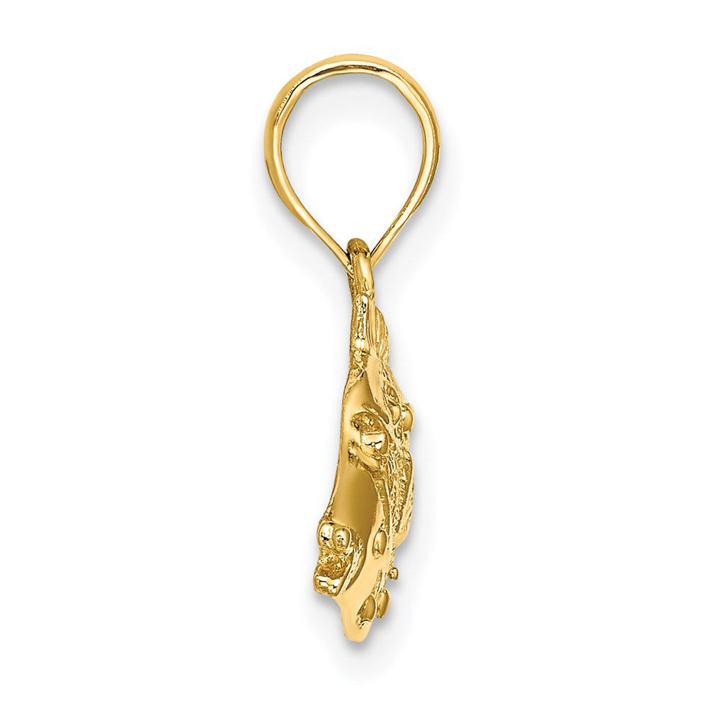 14K 2-D Polished Engraved Fish Charm