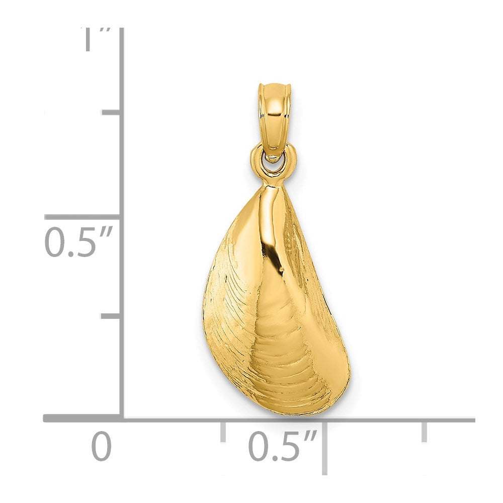 14K Polished Mussel Shell Charm