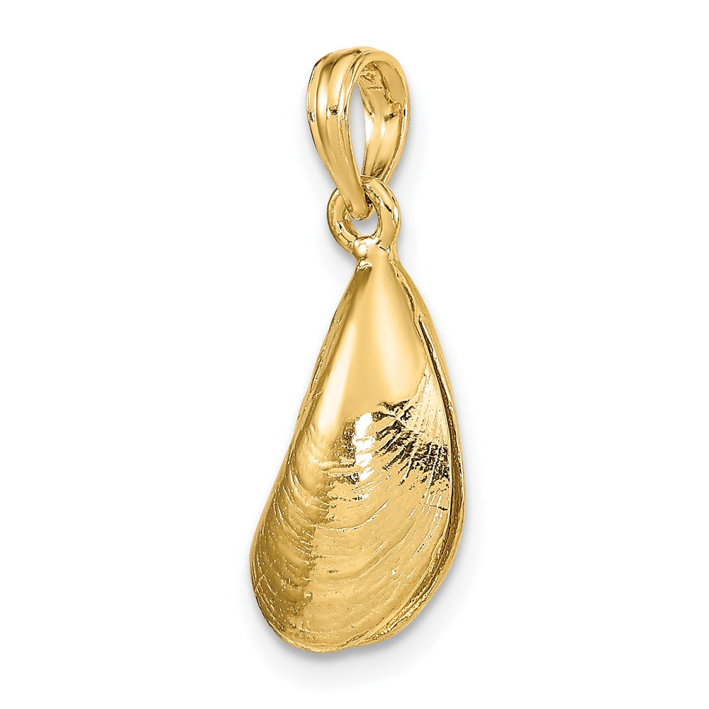 14K 3-D Polished Mussel Shell Charm