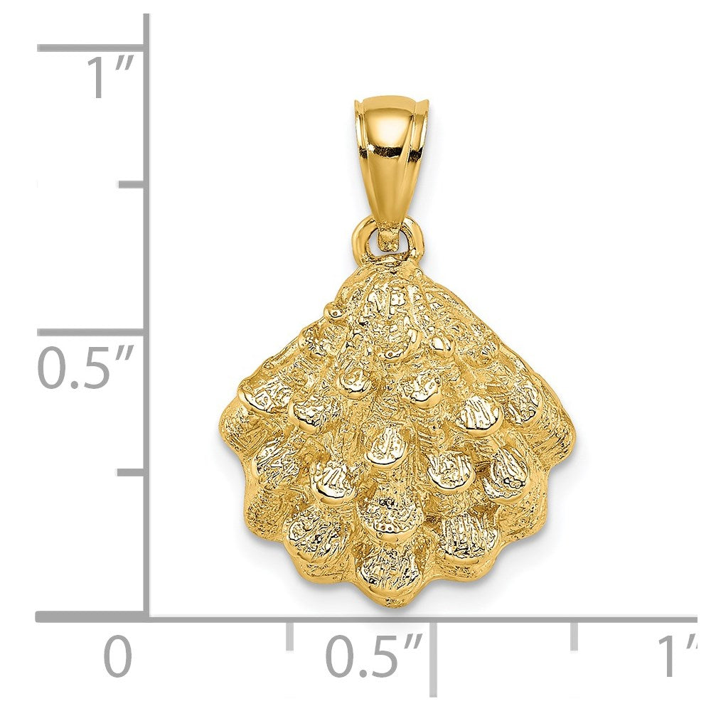 14K Textured Oyster Shell Charm