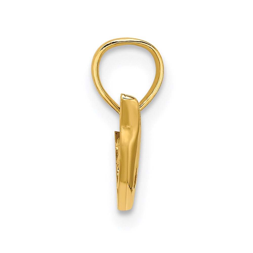 14K Polished Mini Dolphin Charm
