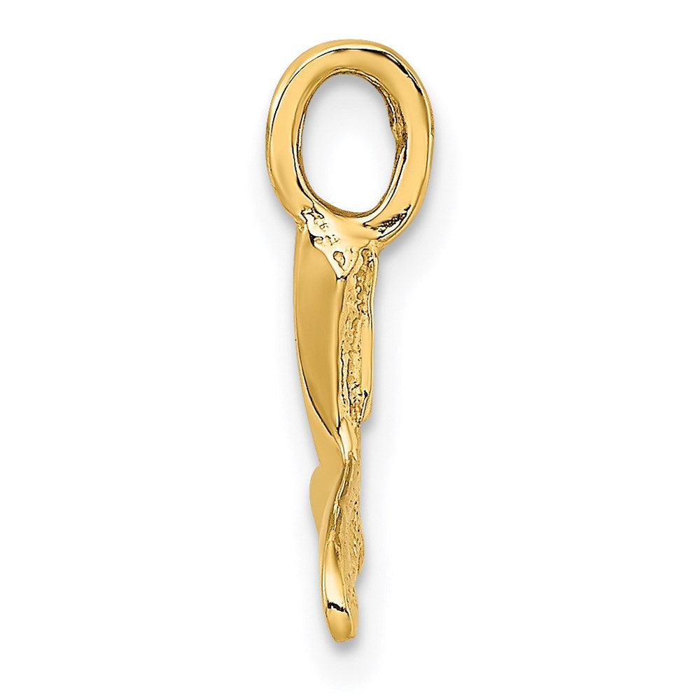 14K Polished Textured Mini Whale Tail Charm