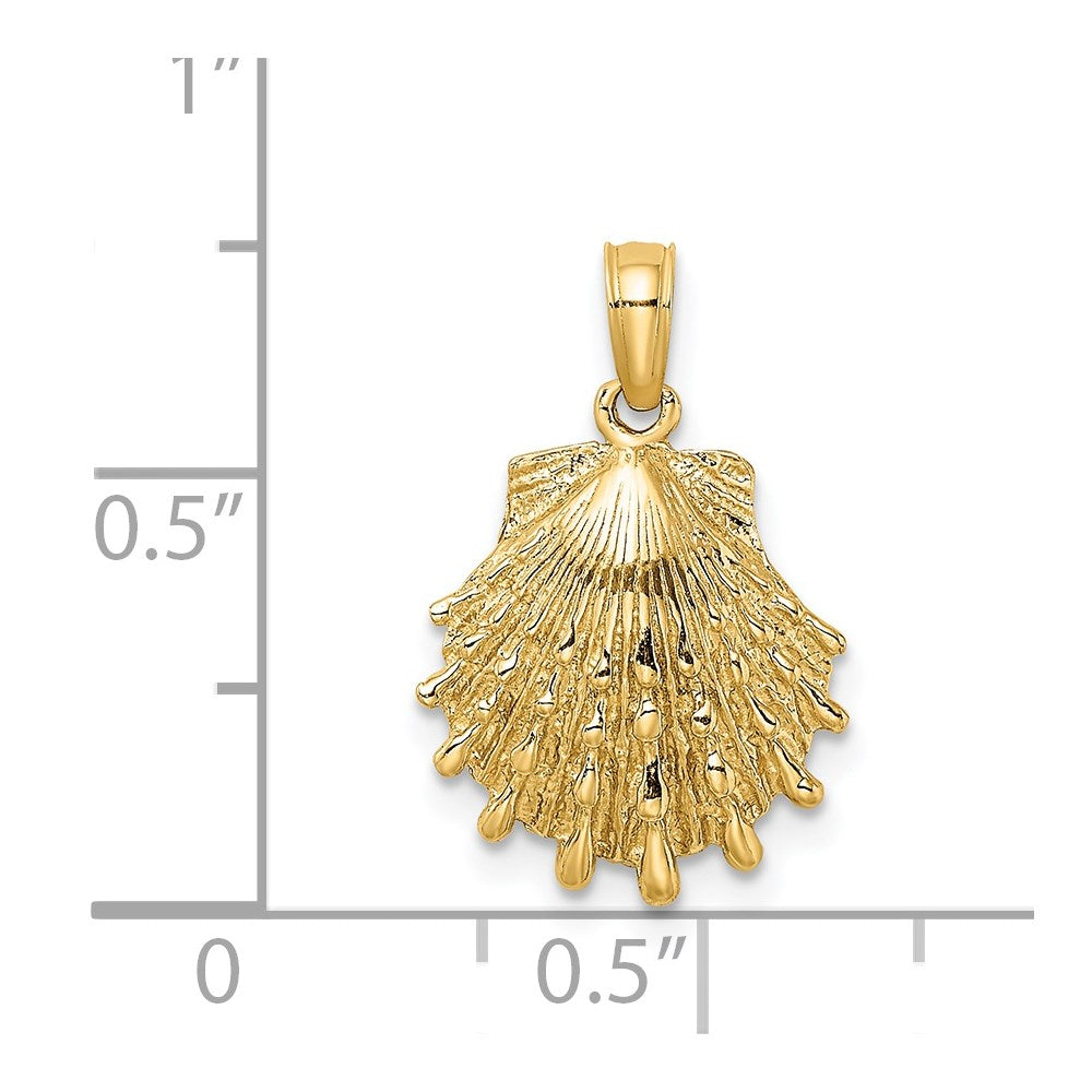 14K Lion's Paw Shell Charm
