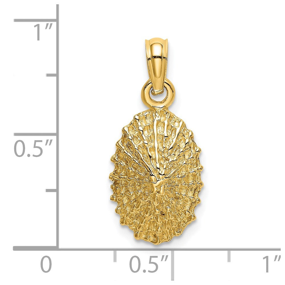14K Textured Limpet Shell Charm