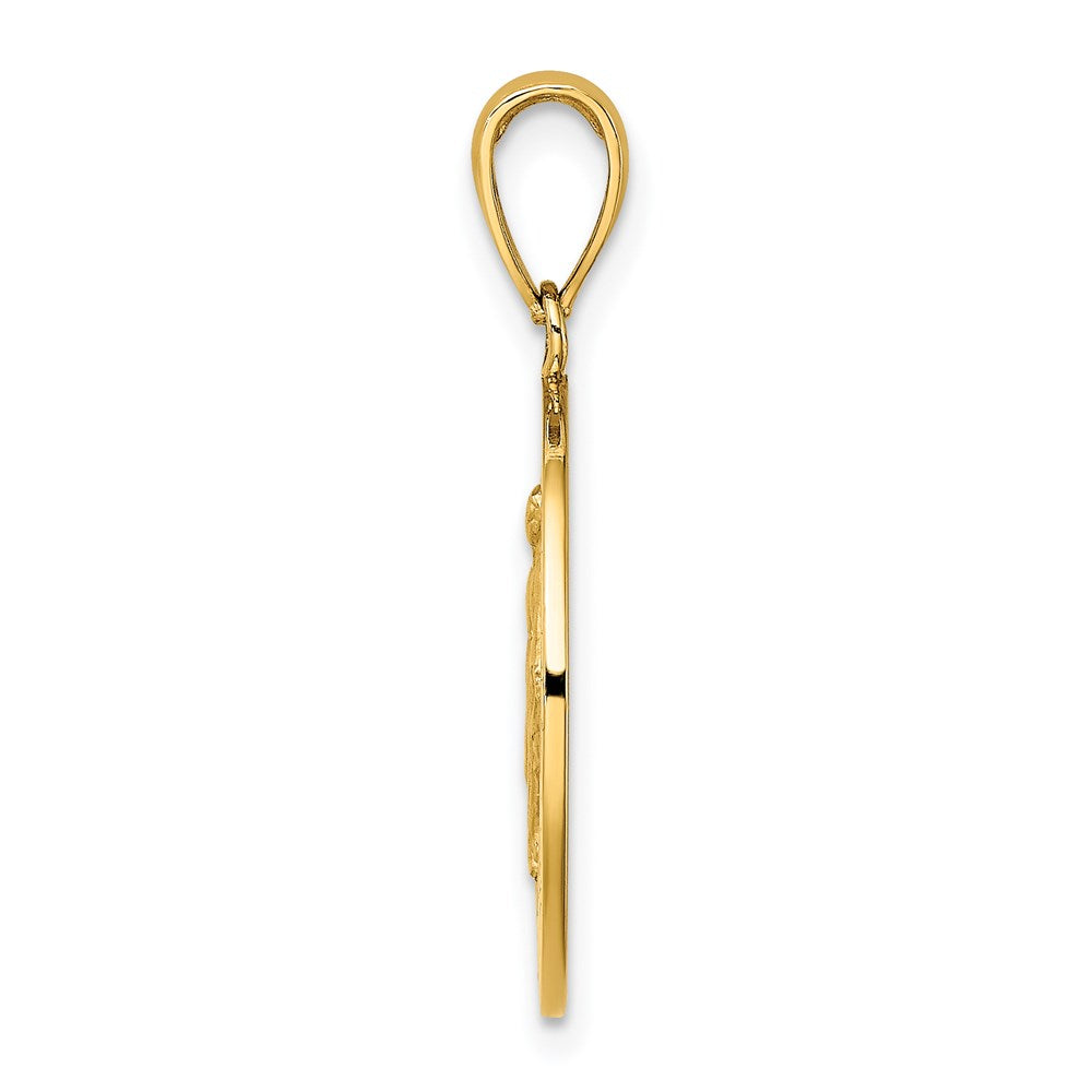 14K Polished and Satin Miraculous Medal Charm