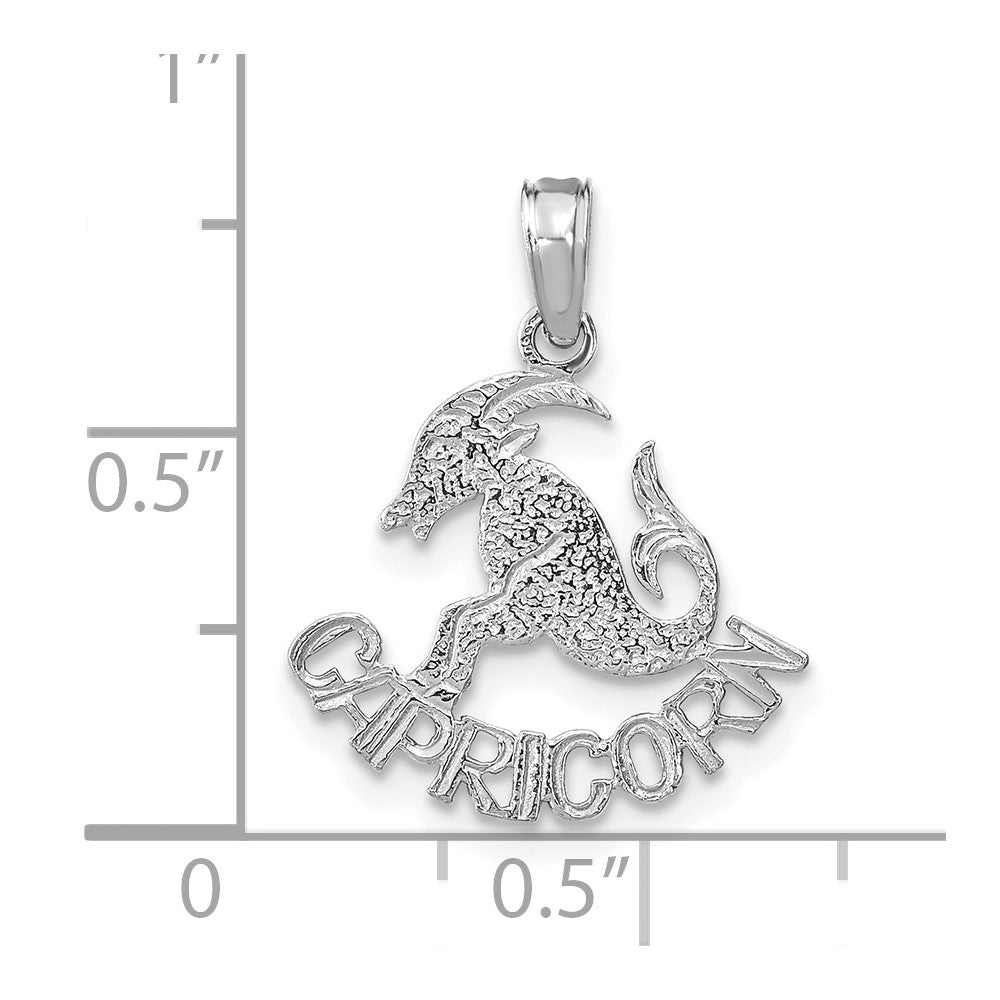 14k WG CAPRICORN Zodiac Charm