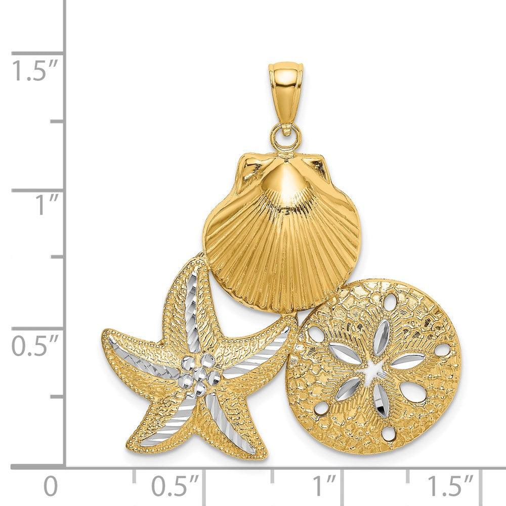 14k with White Rhodium Diamond-cut Scallop Starfish Sand Dollar Charm
