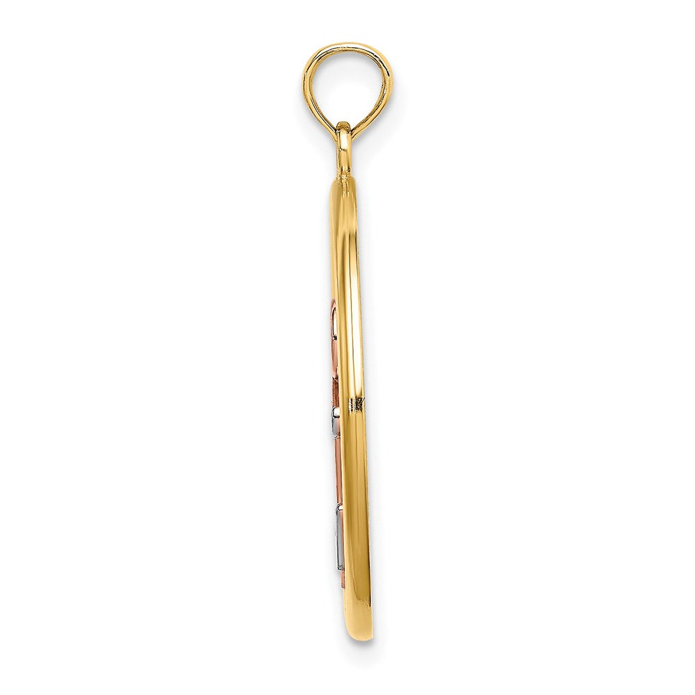 14K Two-tone w/White Rhodium Anchor In Circle Charm