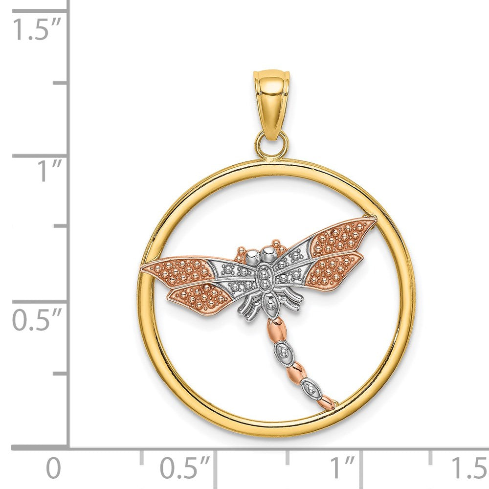 14k Two-tone White Rhodium Textured Dragonfly in Round Frame Charm