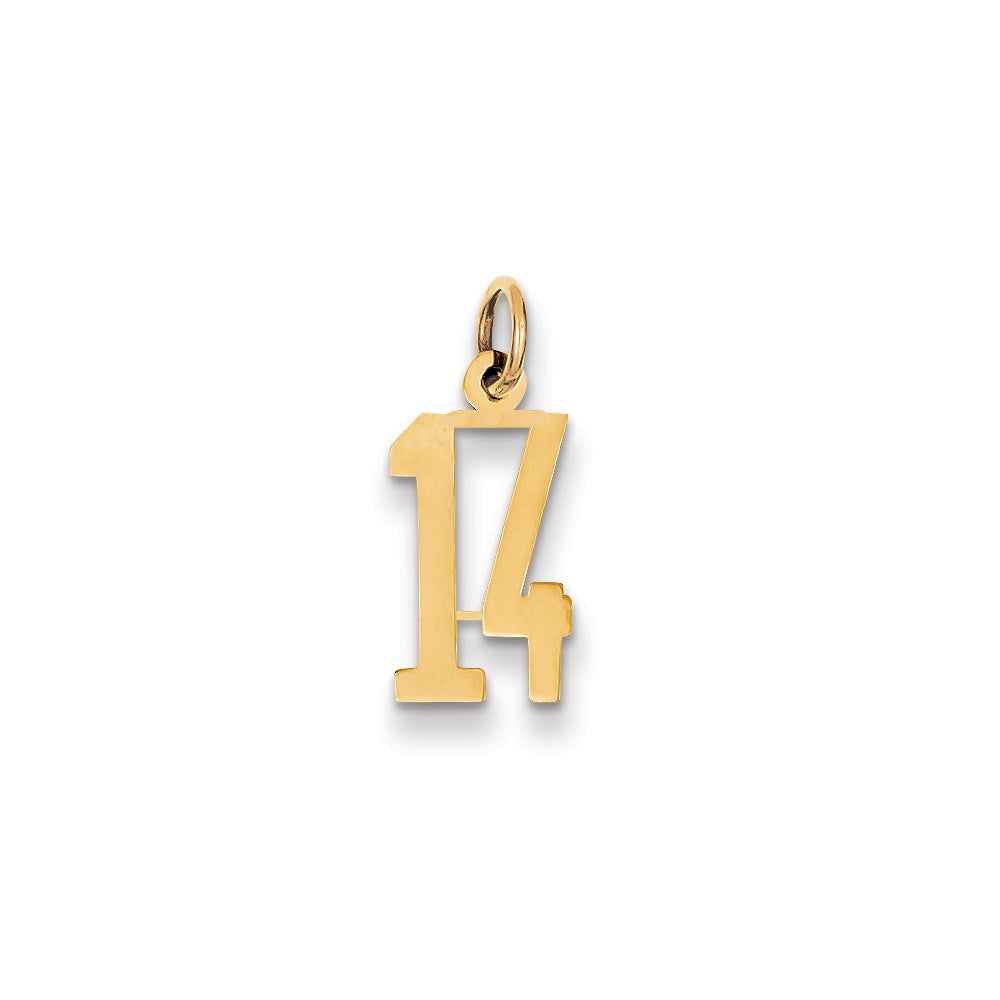 14k Small Elongated Number 14 Charm
