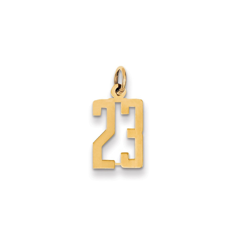 14k Small Elongated Number 23 Charm