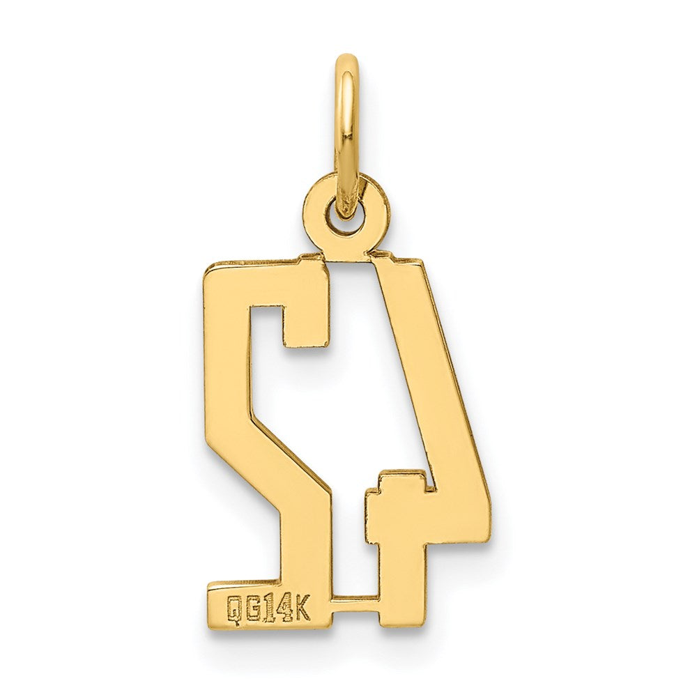 14k Small Elongated Number 42 Charm