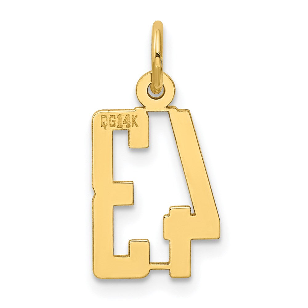14k Small Elongated Number 43 Charm