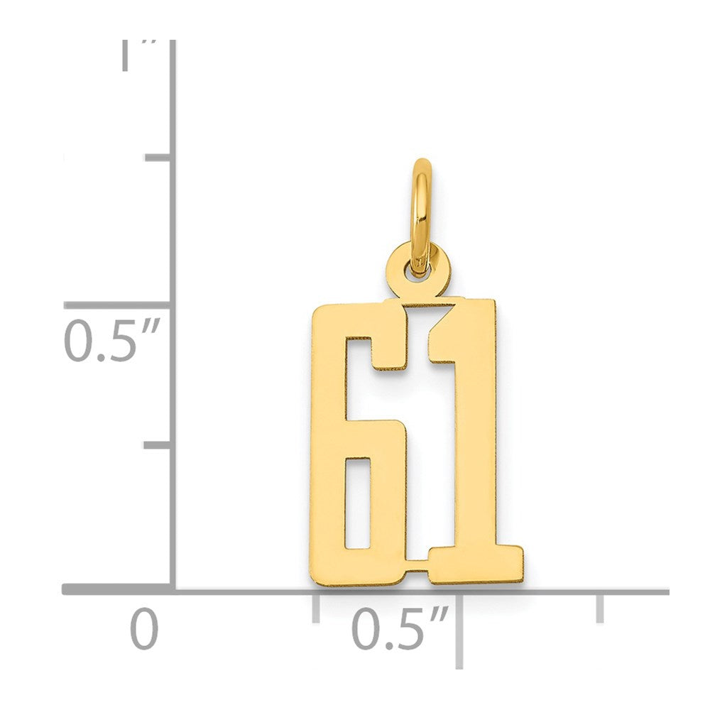 14k Small Elongated Number 61 Charm