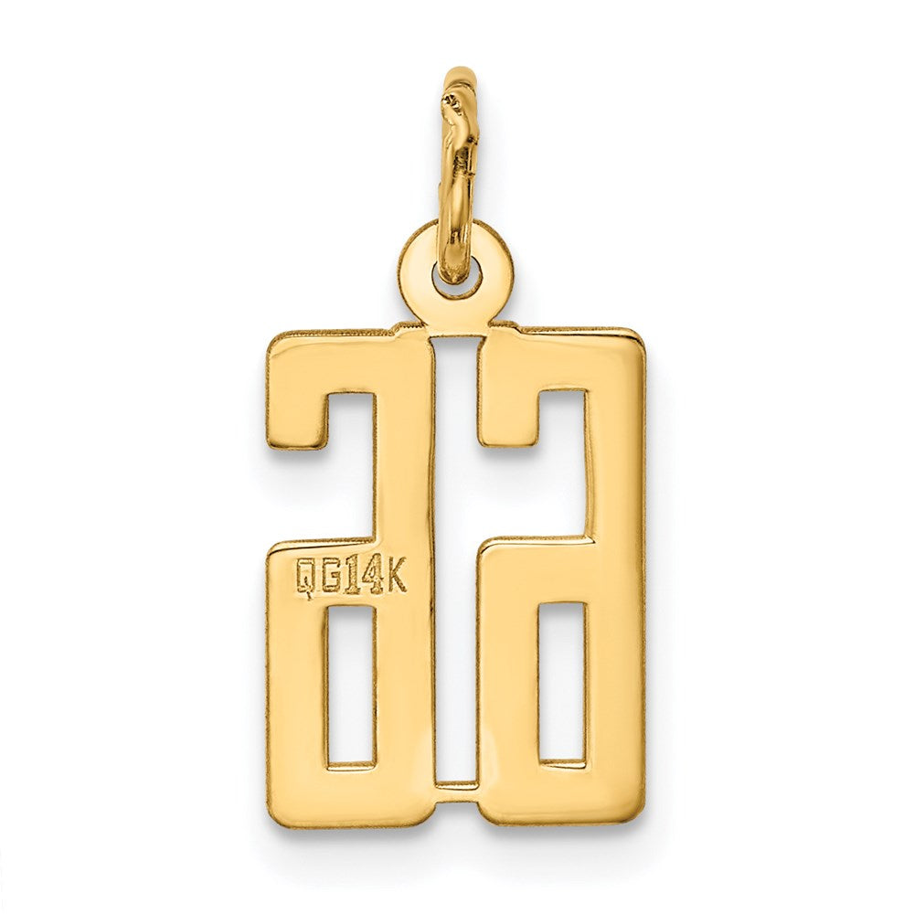 14k Small Elongated Number 66 Charm