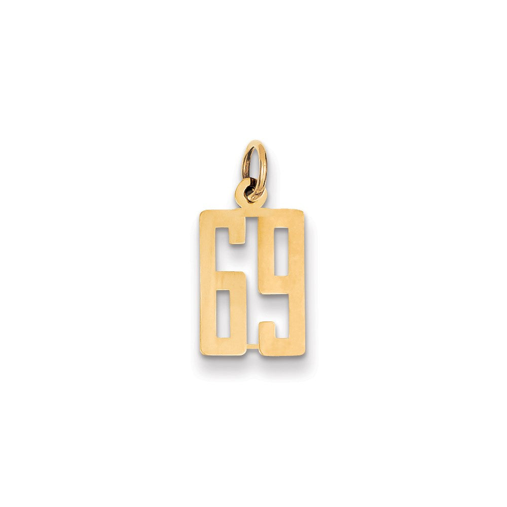 14k Small Elongated Number 69 Charm