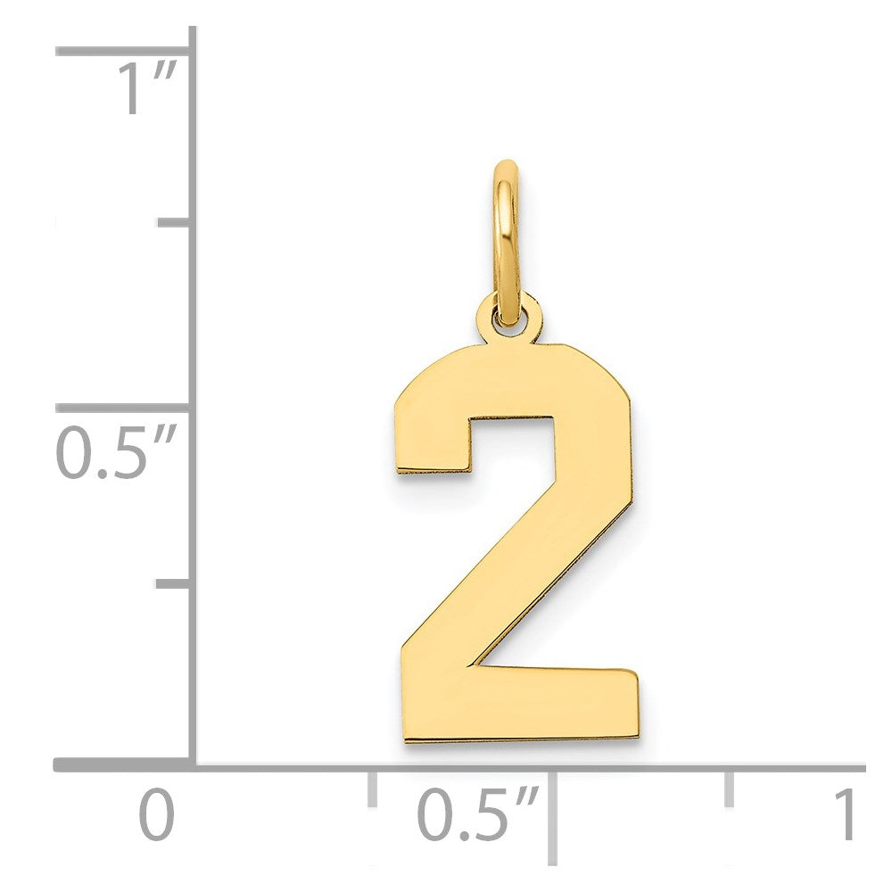 14k Medium Polished Number 2 Charm