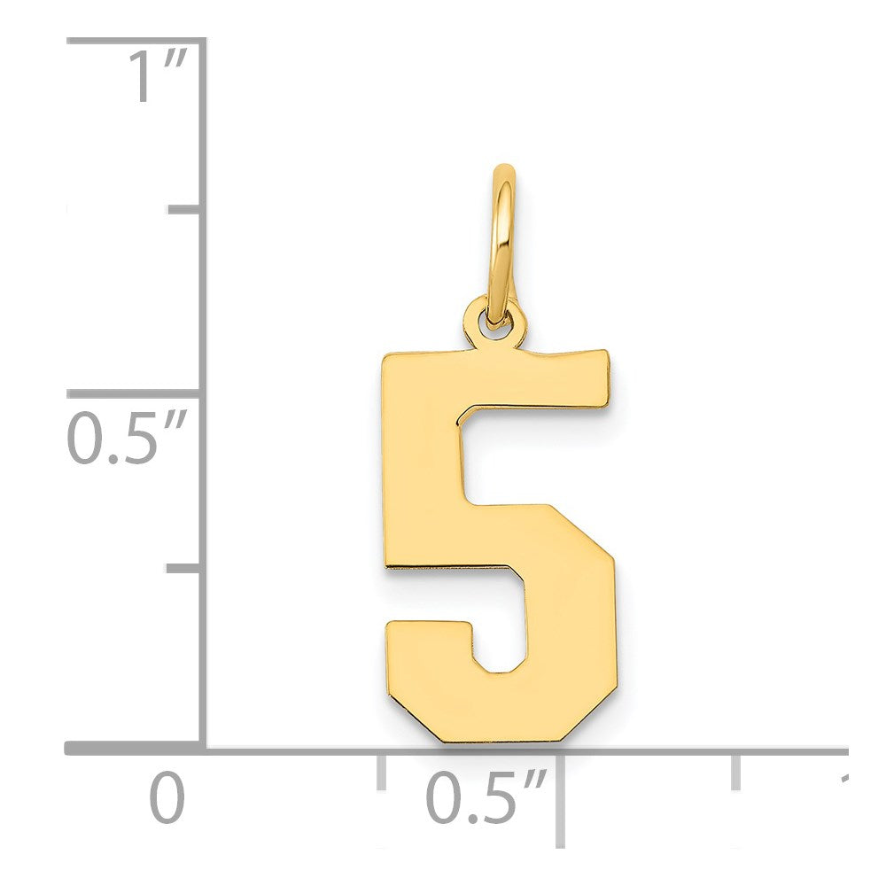 14k Medium Polished Number 5 Charm