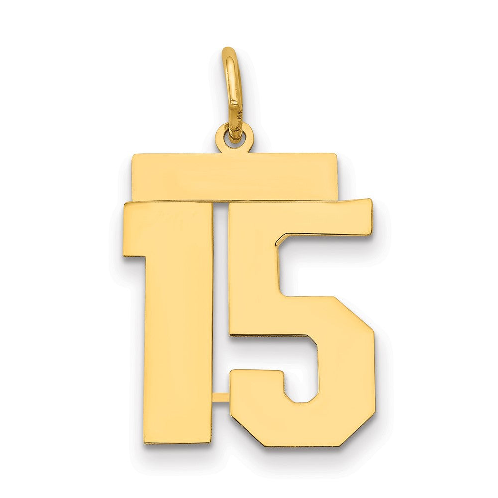 14k Medium Polished Number 15 Charm