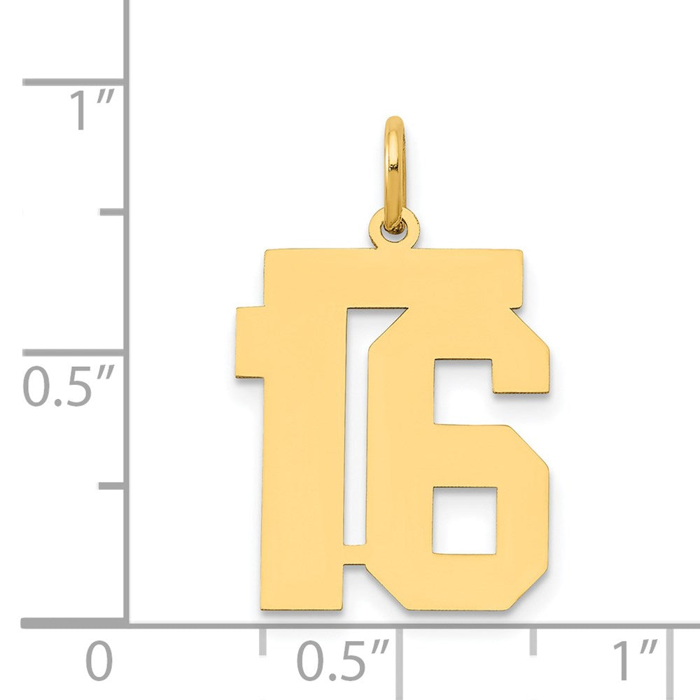 14k Medium Polished Number 16 Charm