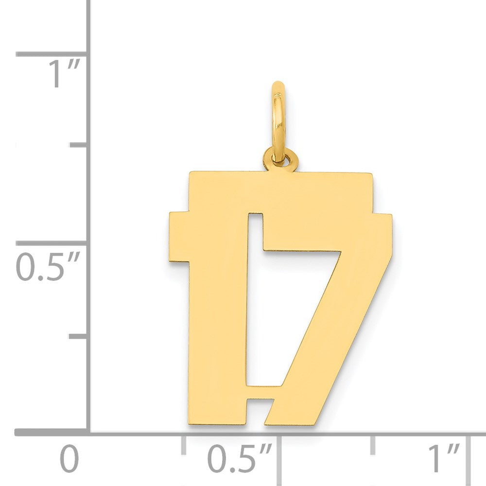 14k Medium Polished Number 17 Charm