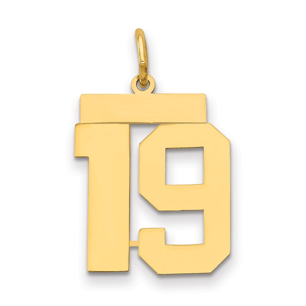 14k Medium Polished Number 19 Charm
