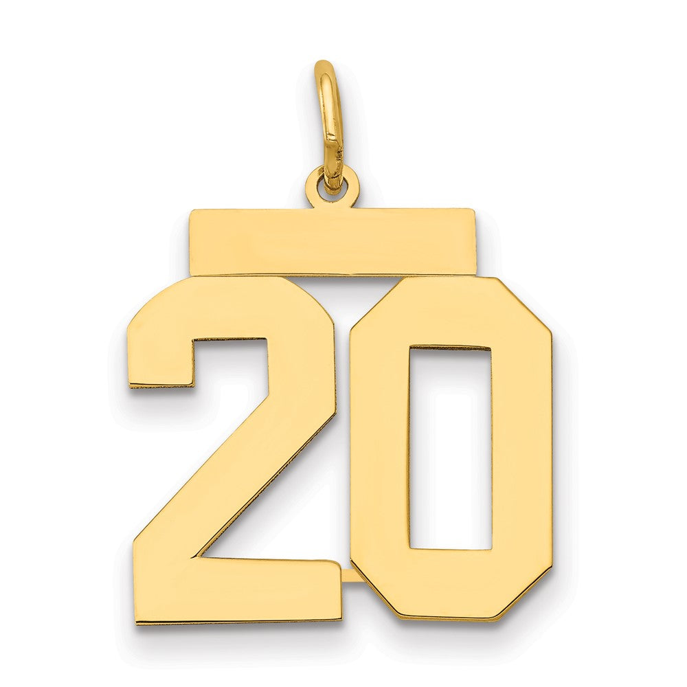 14k Medium Polished Number 20 Charm