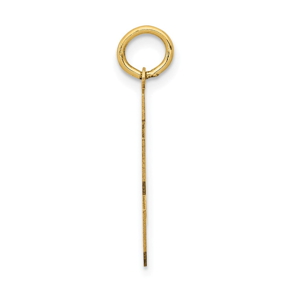 14k Medium Polished Number 23 Charm