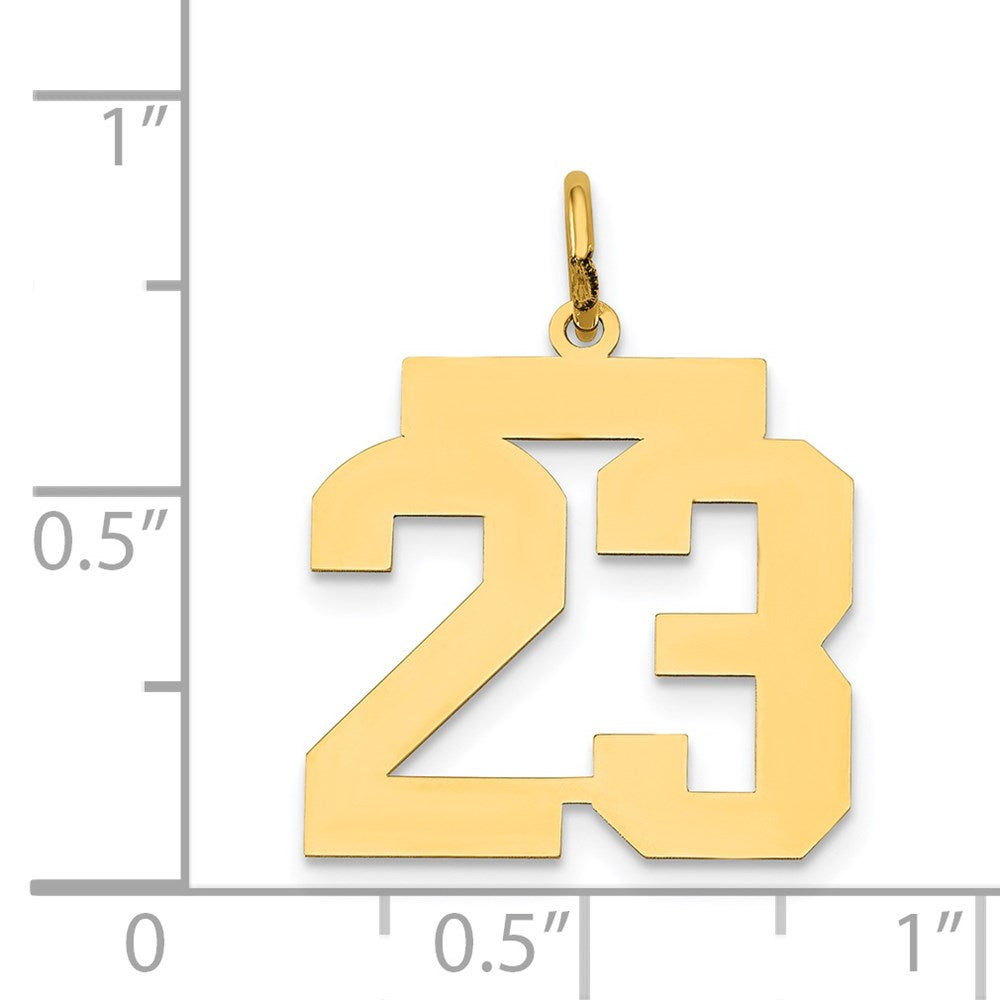 14k Medium Polished Number 23 Charm