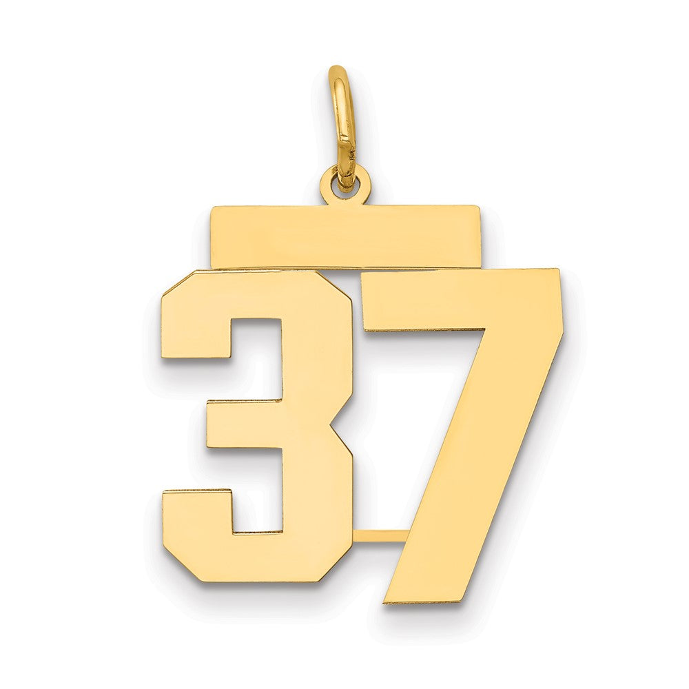 14k Medium Polished Number 37 Charm