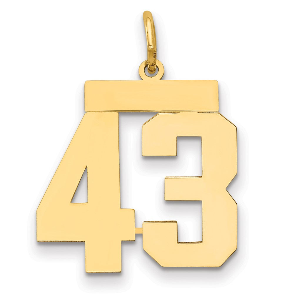 14k Medium Polished Number 43 Charm