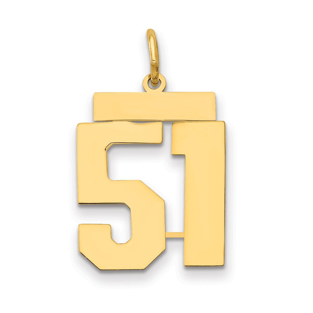 14k Medium Polished Number 51 Charm