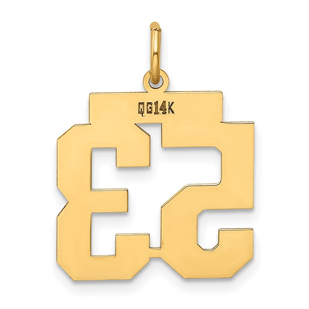 14k Medium Polished Number 53 Charm