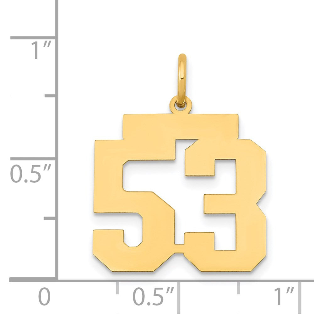 14k Medium Polished Number 53 Charm