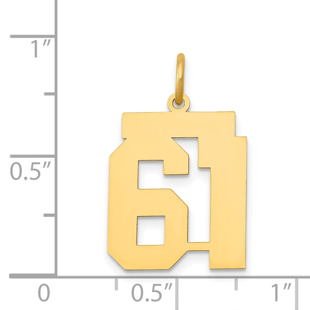 14k Medium Polished Number 61 Charm