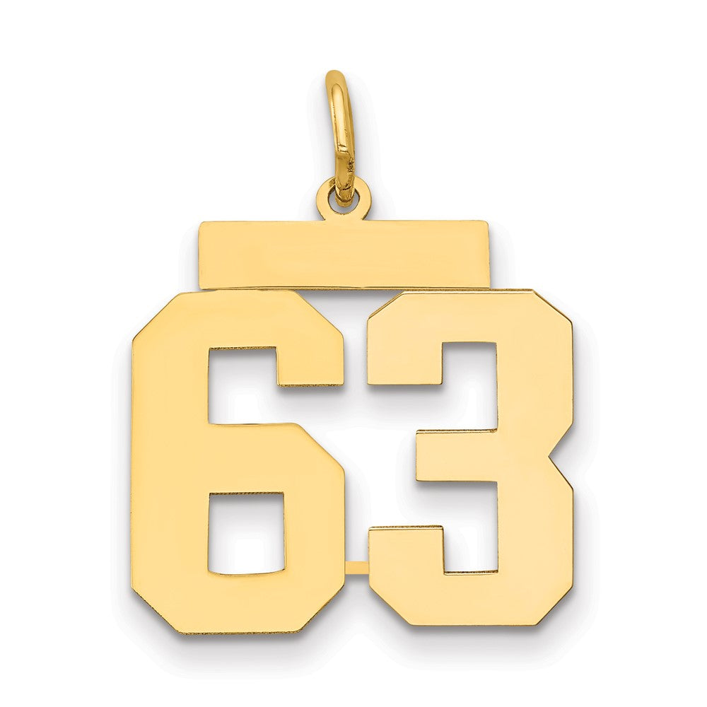 14k Medium Polished Number 63 Charm